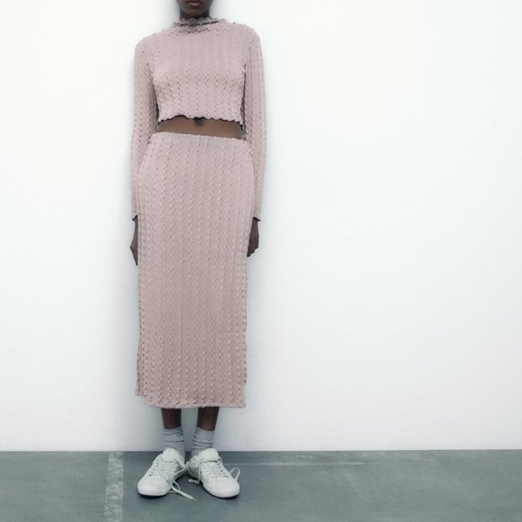 NWT Zara Textured Midi Skirt - Medium - Picture 2 of 6